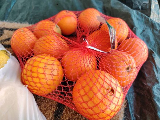 Чудеса в рамках бюджета: знакомство с Honor Magic 6 Lite фото