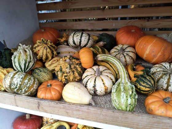 Обзор Motorola Edge 40 Neo фото