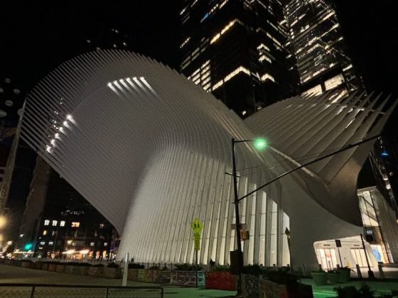 iPhone 15 Plus против iPhone 15 Pro: компактное превосходство или габаритная доступность фото