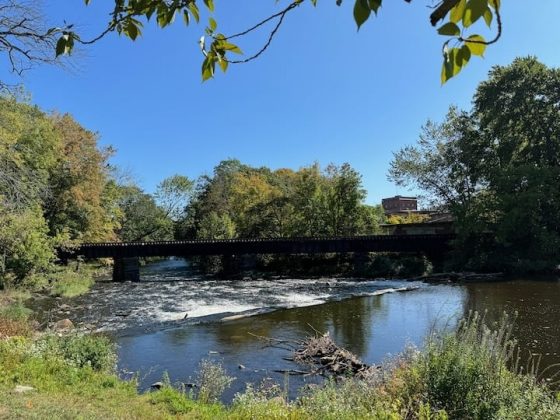 iPhone 15 Plus против iPhone 15 Pro: компактное превосходство или габаритная доступность фото