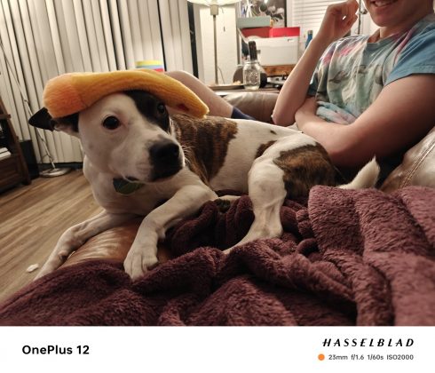 Обзор OnePlus 12: самый лучший смартфон на рынке фото