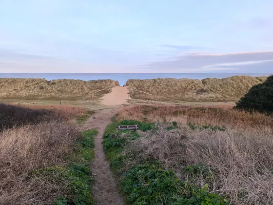 Обзор Xiaomi Redmi Note 13 Pro+ фото