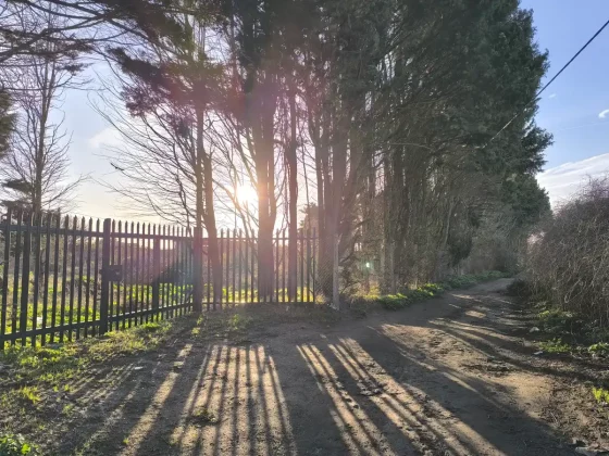 Обзор Xiaomi Redmi Note 13 Pro+ фото