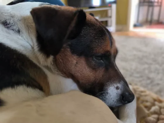 Обзор Xiaomi Redmi Note 13 Pro+ фото