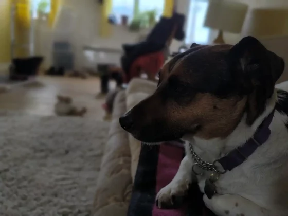 Обзор Xiaomi Redmi Note 13 Pro+ фото