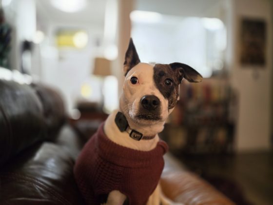 Обзор Samsung Galaxy S24 Ultra: доведенный до совершенства фото