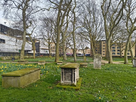 Обзор Nothing Phone 2a фото