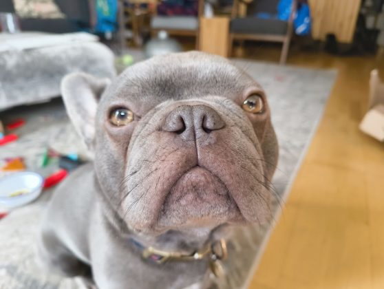 Обзор Nothing Phone 2a фото