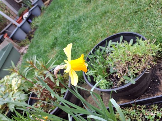 Обзор Samsung Galaxy Tab Active5 5G фото