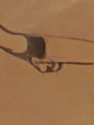 Обзор Xiaomi 14 Ultra фото