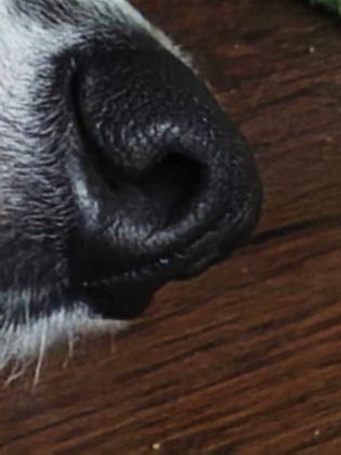 Обзор Xiaomi 14 Ultra фото