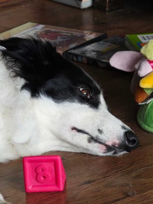 Обзор Xiaomi 14 Ultra фото