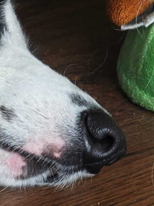 Обзор Xiaomi 14 Ultra фото