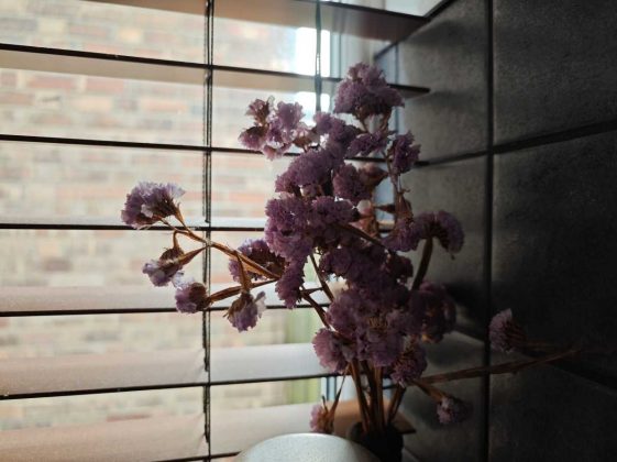 Обзор Xiaomi 14 Ultra фото