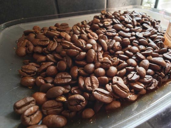 Обзор Xiaomi 14 Ultra фото