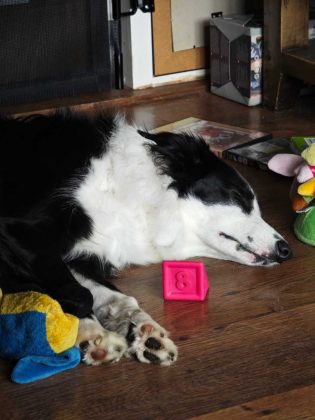 Обзор Xiaomi 14 Ultra фото