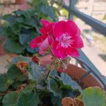 Обзор Honor Magic 6 RSR Porsche Design фото