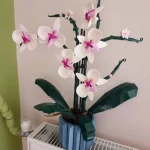 Обзор Honor Magic 6 RSR Porsche Design фото