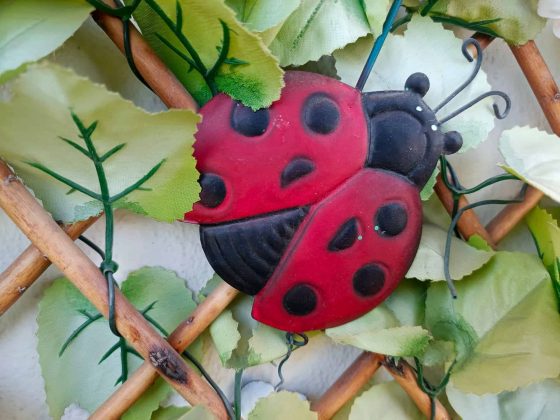 Обзор Infinix Note 40 Pro+ фото