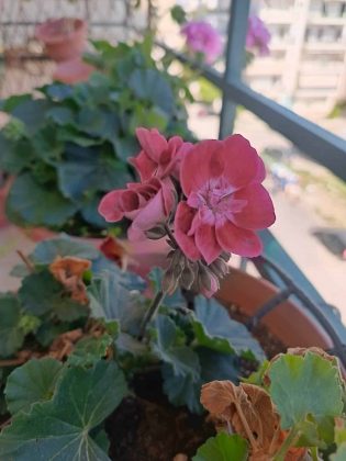 Обзор Infinix Note 40 Pro+ фото