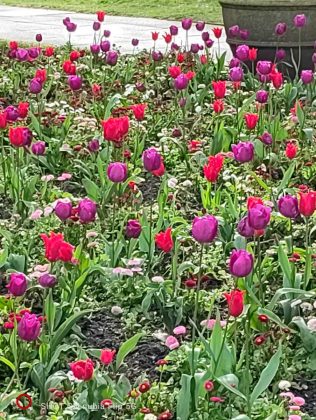 Обзор Nubia Flip 5G фото