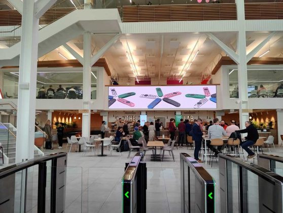 Обзор Nubia Flip 5G фото