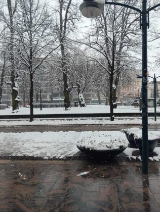 Обзор Nubia Flip 5G фото