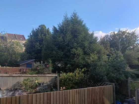 Обзор OnePlus Pad Go фото