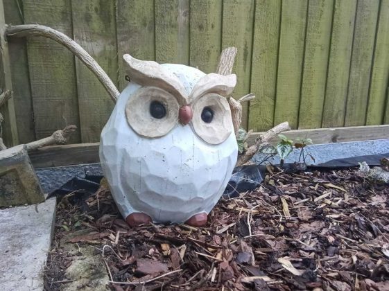 Обзор OnePlus Pad Go фото