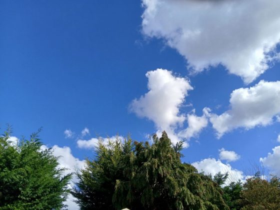 Обзор защищенного смартфона Samsung Galaxy XCover 7 фото