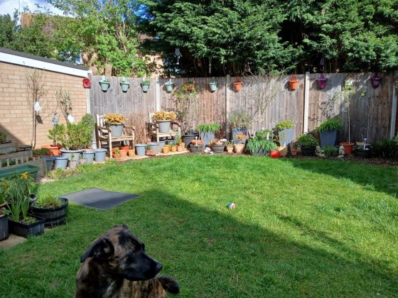 Обзор защищенного смартфона Samsung Galaxy XCover 7 фото