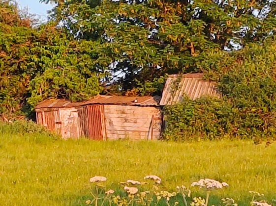 Обзор Poco F6 фото