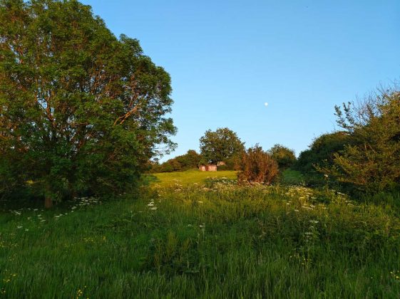 Обзор Poco F6 фото