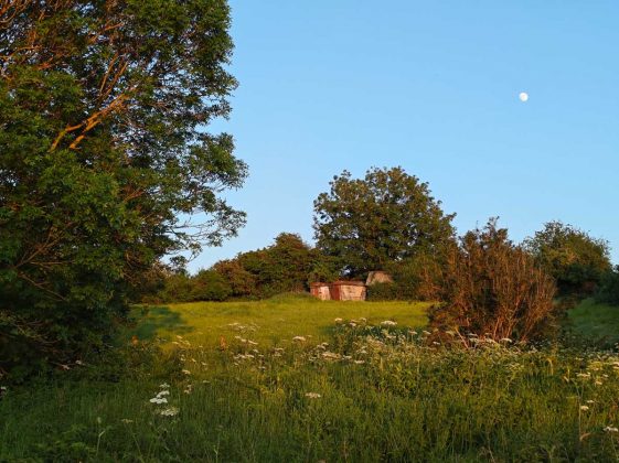 Обзор Poco F6 фото