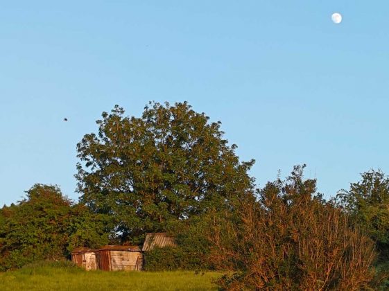 Обзор Poco F6 фото