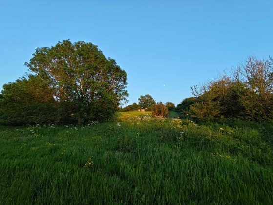 Обзор Poco F6 фото