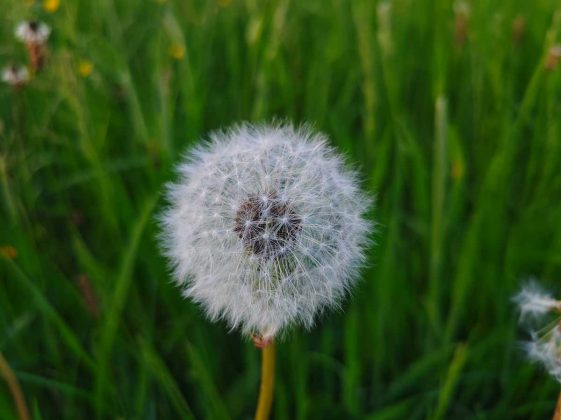 Обзор Poco F6 фото