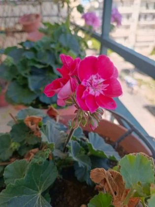 Обзор Tecno Spark 20 Pro 5G фото