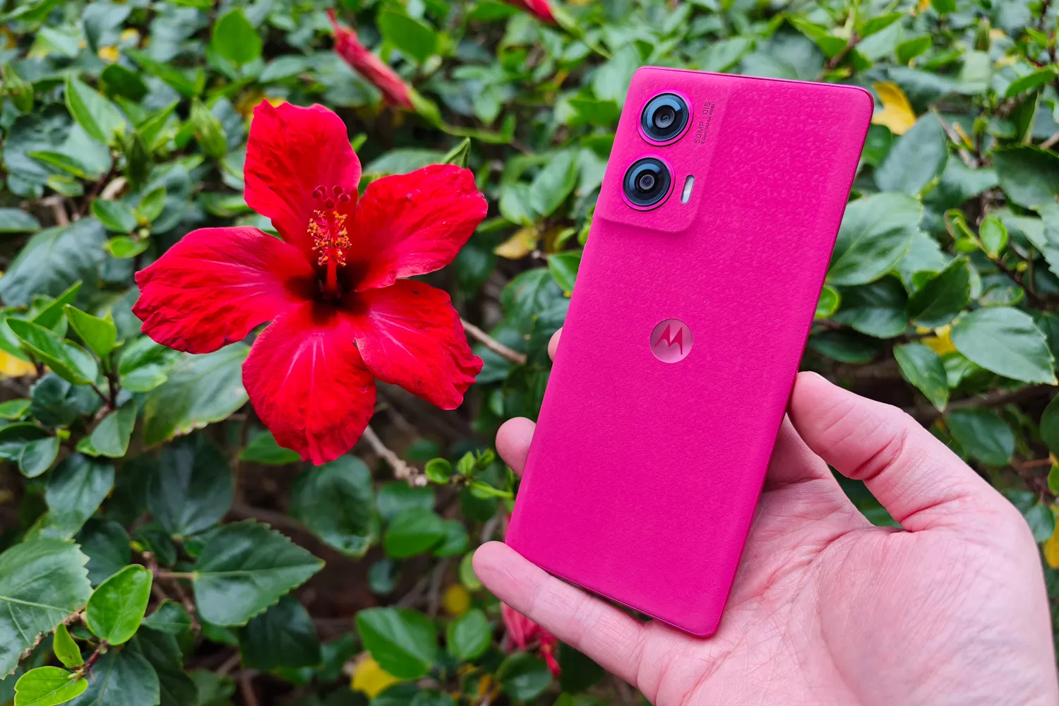 Motorola Edge 50 Fusion