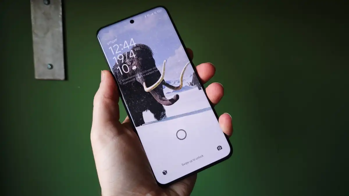 Xiaomi 15