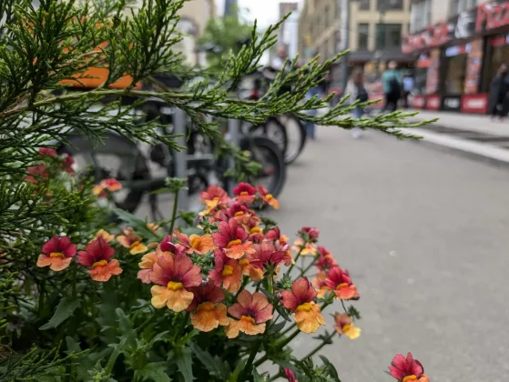 Сравнение Google Pixel 8a и iPhone 15 фото