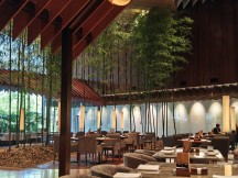 Практический обзор Xiaomi Mix Flip и Mix Fold 4 фото