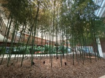 Практический обзор Xiaomi Mix Flip и Mix Fold 4 фото