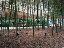 Практический обзор Xiaomi Mix Flip и Mix Fold 4 фото