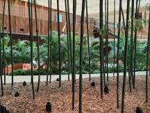 Практический обзор Xiaomi Mix Flip и Mix Fold 4 фото