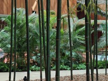 Практический обзор Xiaomi Mix Flip и Mix Fold 4 фото