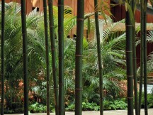 Практический обзор Xiaomi Mix Flip и Mix Fold 4 фото