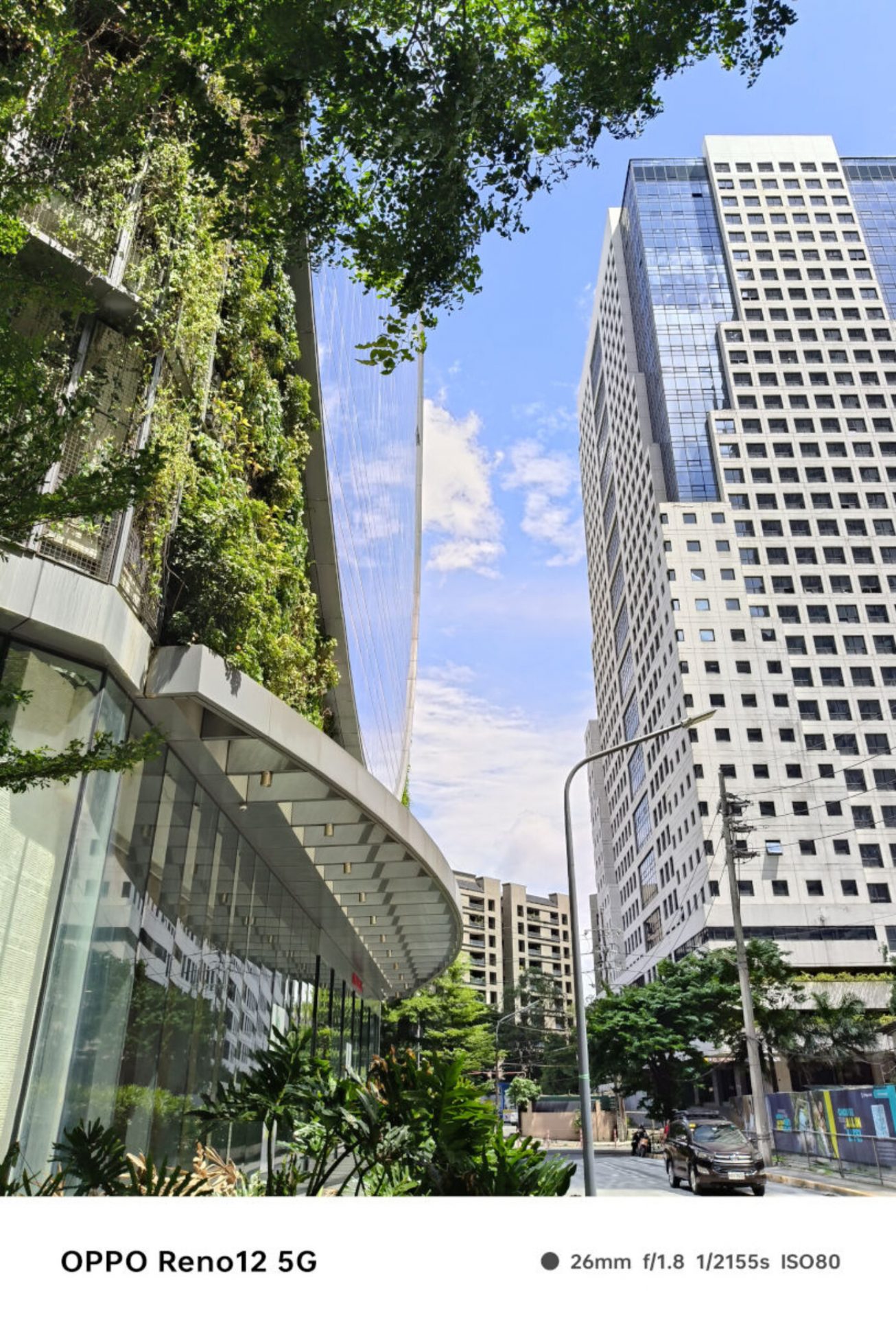 Обзор OPPO Reno12 5G фото