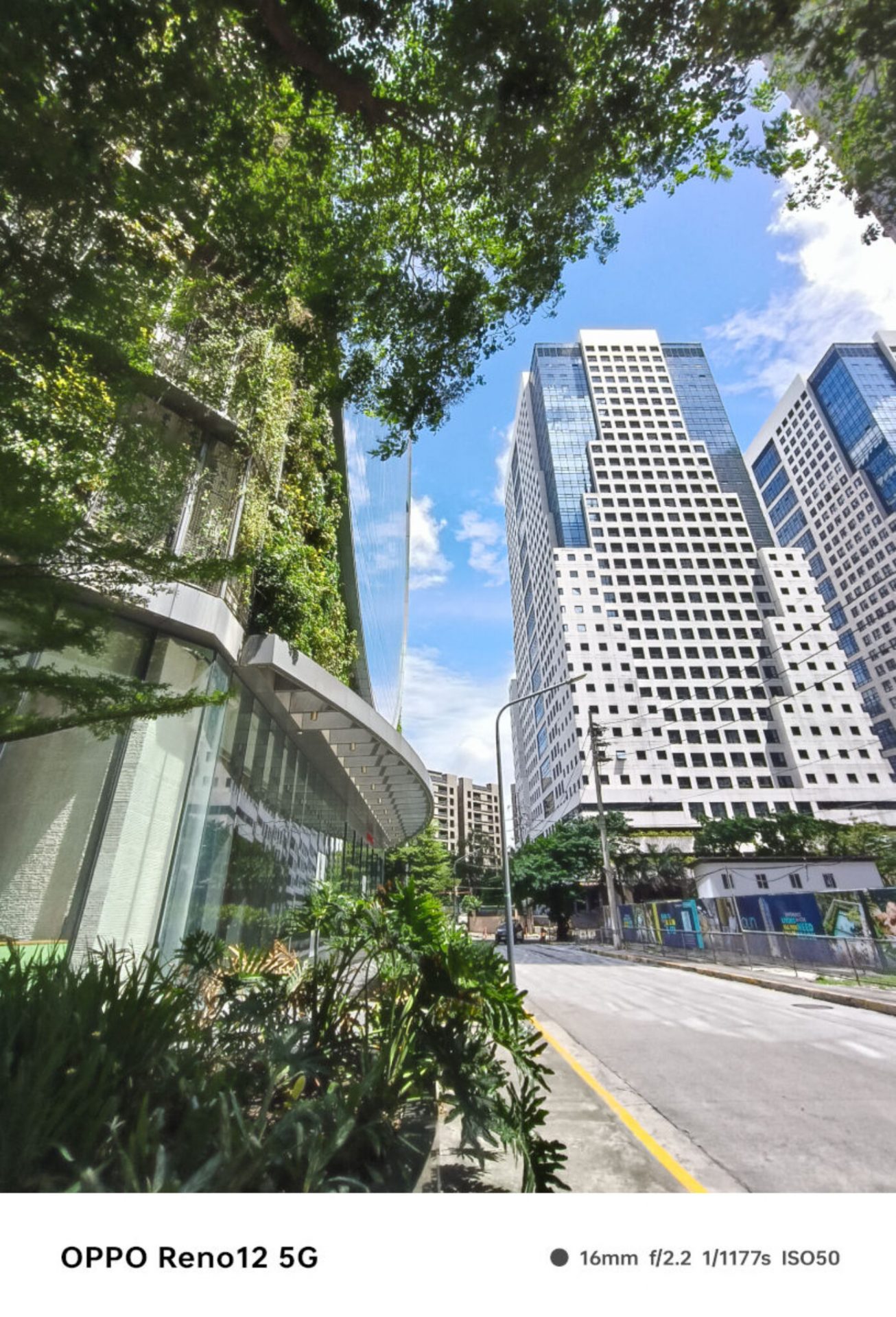 Обзор OPPO Reno12 5G фото