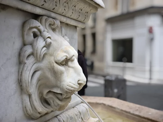 Краткий обзор смартфона Xiaomi 14T Pro фото